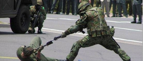 美人计上演！日本自卫队出大招征兵