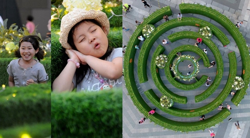&ldquo;花园迷宫&rdquo;亮相沈阳