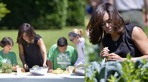 自己动手 与第一夫人野餐
