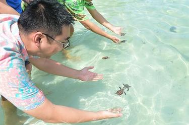 李嘉文：我在印尼当&ldquo;岛主&rdquo;