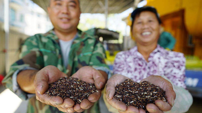 星火再燎原&mdash;&mdash;来自我国首个脱贫摘帽县井冈山的回访