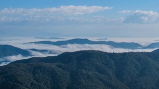 擦亮&ldquo;北回归沙漠带上的绿宝石&rdquo;