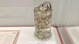 献给世界的礼物&mdash;&mdash;&ldquo;青蒿素研究&rdquo;持续助力全球抗疟