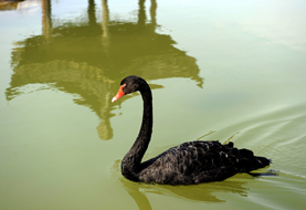 行摄&ldquo;美丽江南&rdquo;