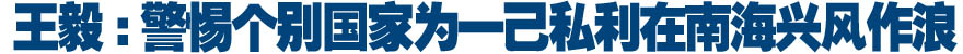 王毅:警惕个别国家为一己私利在南海兴风作浪