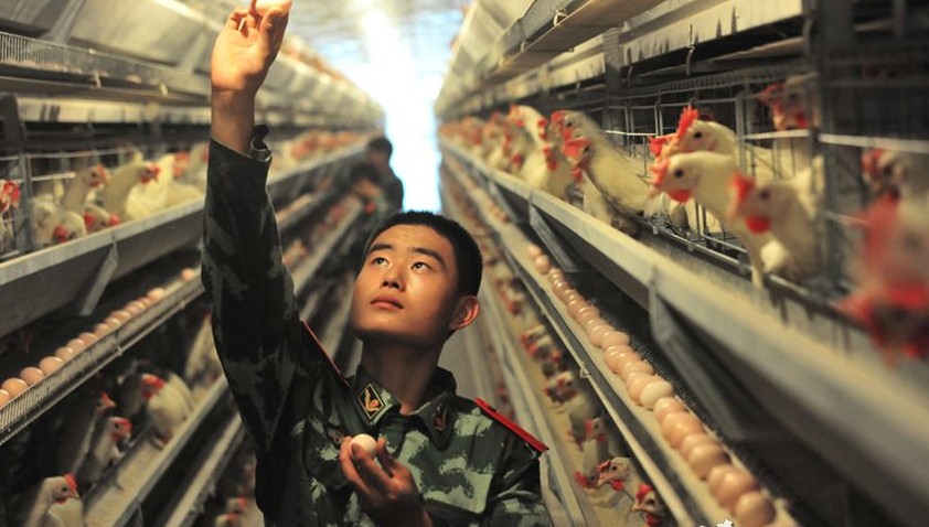 武警高科技后勤基地大曝光