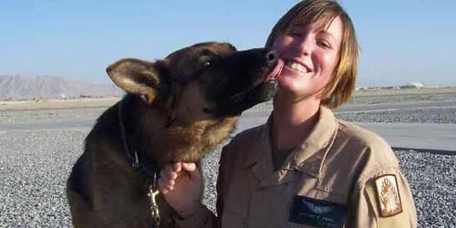 可爱动物参军记