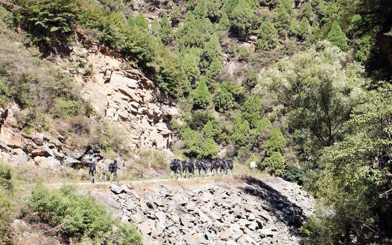 李光印作品：2010野训