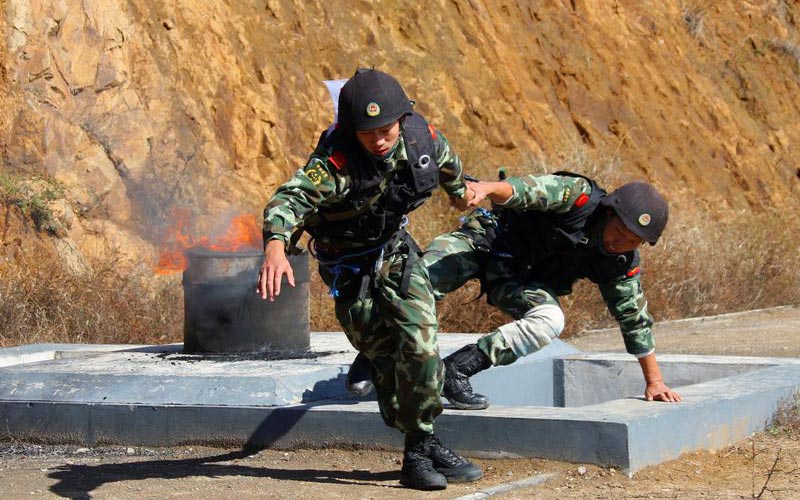 李光印作品：神勇特战队