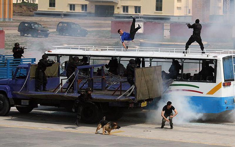 李光印作品：雪豹突击队