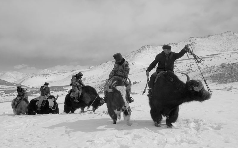 向文军作品：特别向导边关情