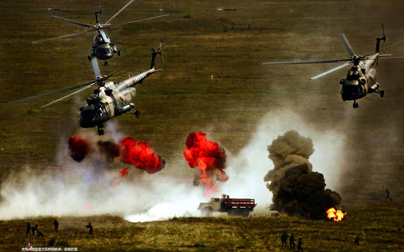 张雷作品：2007&middot;和平使命