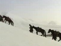 见证西北边防之铸魂昆仑