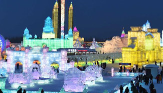 In pictures: 16th Harbin Ice and Snow World