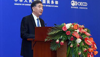 China-OECD Co-operation at 20 and Beyond Seminar opens in Beijing