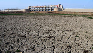 Drought hits China's Shandong