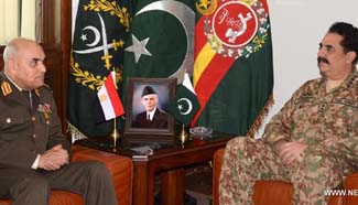Pakistani official meets with Egyptian defence minister