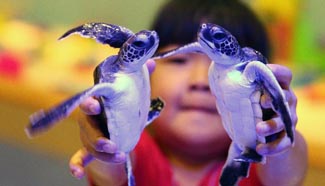 Kids interact with marine lives in Beijing Aquarium