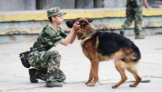 Life at police dog training base of armed police in China's Harbin