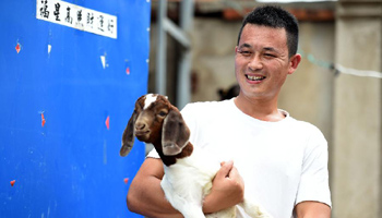 Goat raising business brings veteran hight profit in E China