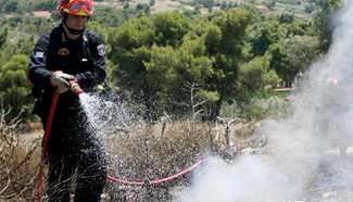 Wildfire erupts in Athens outskirts, Greece