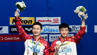 Chinese pair claim title of men's 3m synchronised springboard