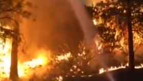 California declares state of emergency as wildfires rage