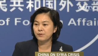 China backs political solution to Syrian crisis: FM