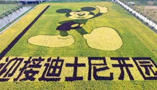 Paddy field painting of Mickey Mouse seen in Shanghai