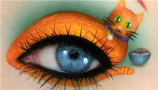 Cats and eye lashes