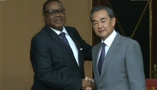 Chinese FM Wang Yi meets Malawian President, pledges support