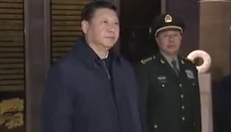 Xi Jinping visits old revolutionary base areas