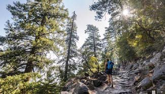 In pics: beautiful scenery of U.S. Yosemite National Park