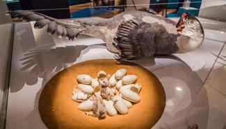 Exhibition "Dinosaurs Among Us" to open to public in New York