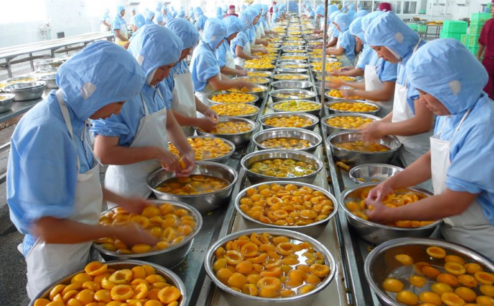 阳光海外工程险助力中国企业走出去