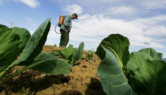 阳光支持地方社会经济发展显实效