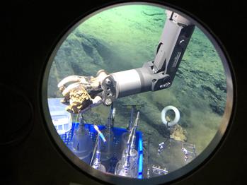 深潛馬裏亞納海溝&mdash;&mdash;海底世界見聞記