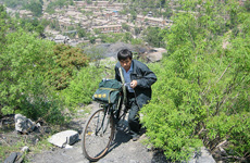 大山里的绿衣信使