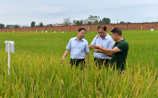 工行发挥电商优势助力精准脱贫