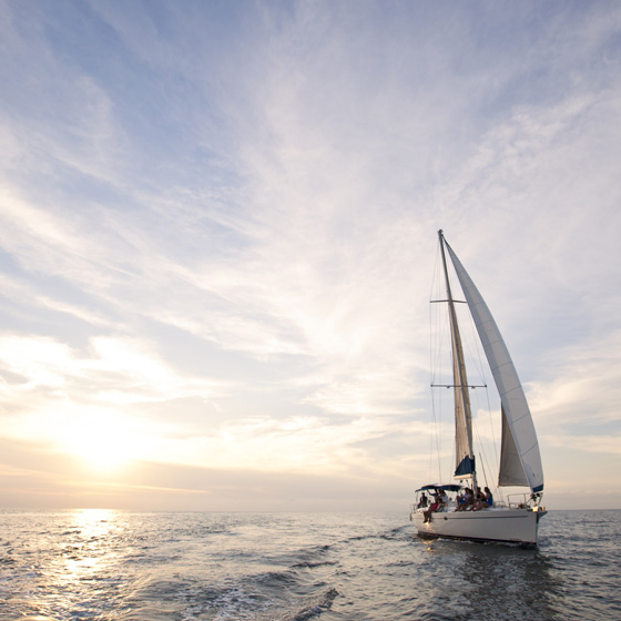 邮储银行：发挥独特优势 助力一带一路