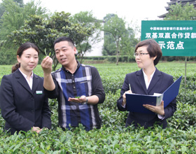 邮储银行农村金融服务模式调查