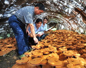 助推农业供给侧结构性改革