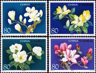 张聪：&ldquo;邮&rdquo;你一片心意