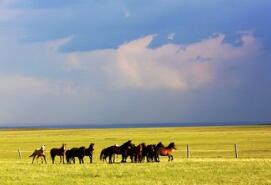 国开内蒙古分行支持自治区政府债务置换