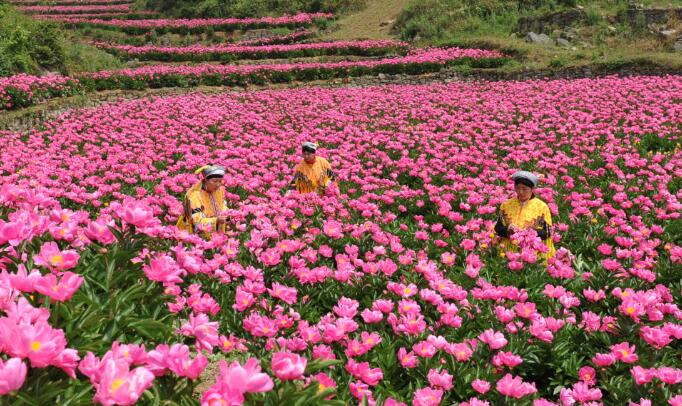 国开行：2017年将发放4000亿脱贫攻坚贷款