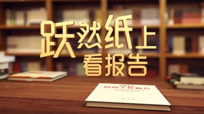 跃然纸上看报告