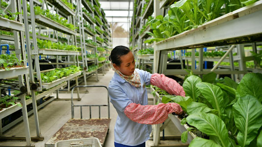 财政部提前下达2018年普惠金融发展专项资金逾105亿元