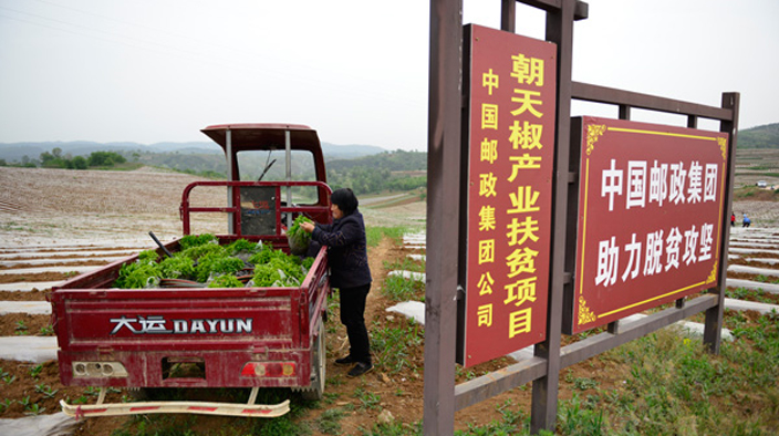 秦岭最美是商洛 扶贫最真是邮政&mdash;&mdash;记中国邮政陕西商洛定点扶贫20年