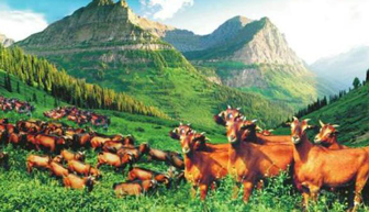 工行定点扶贫项目入选全球减贫优秀案例