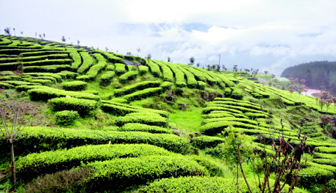 国开行贵州省分行和贵阳银行合作开展扶贫转贷款业务